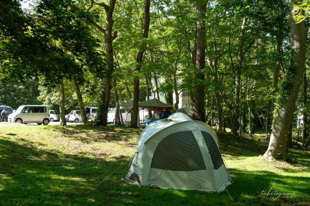 東大沼キャンプ場駐車場そばの林間あサイト