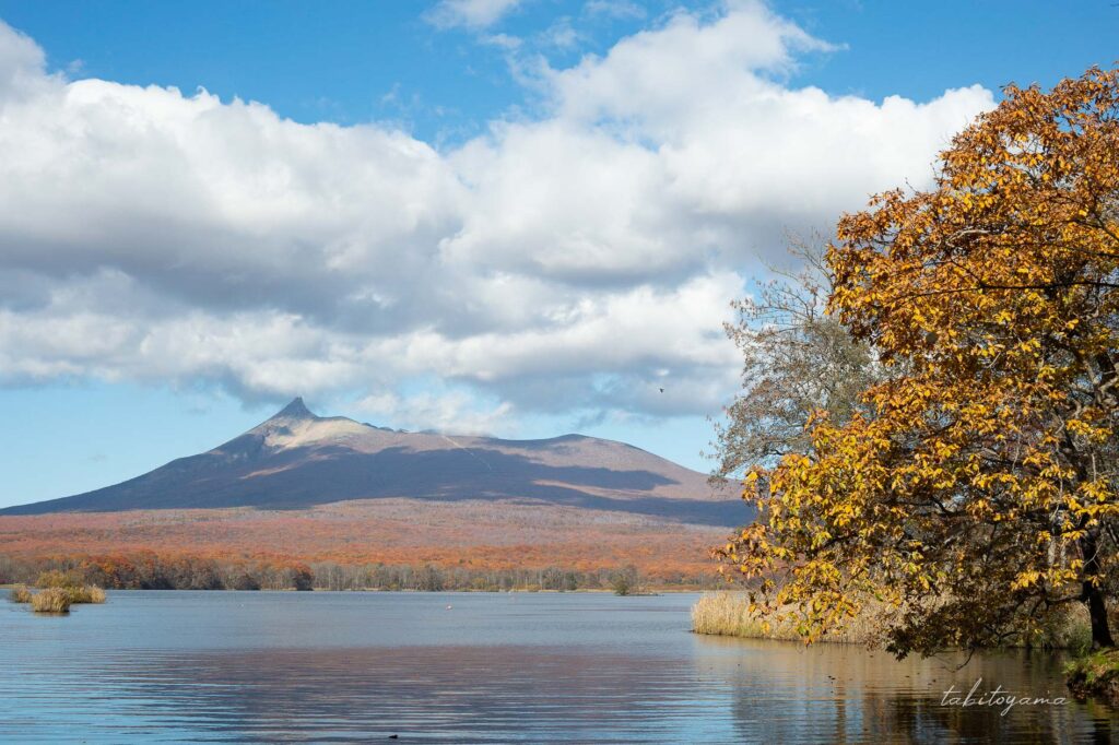 新日本三景に選ばれた大沼湖畔沿いの北海道駒ヶ岳