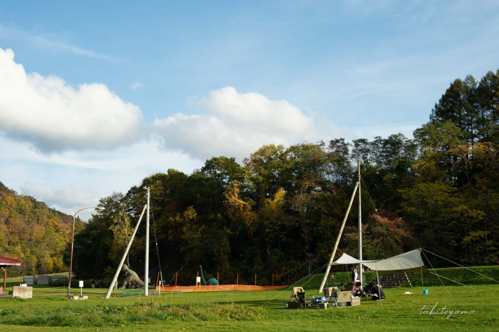 ファミリーランドみかさ遊園のフリーサイトと電柱