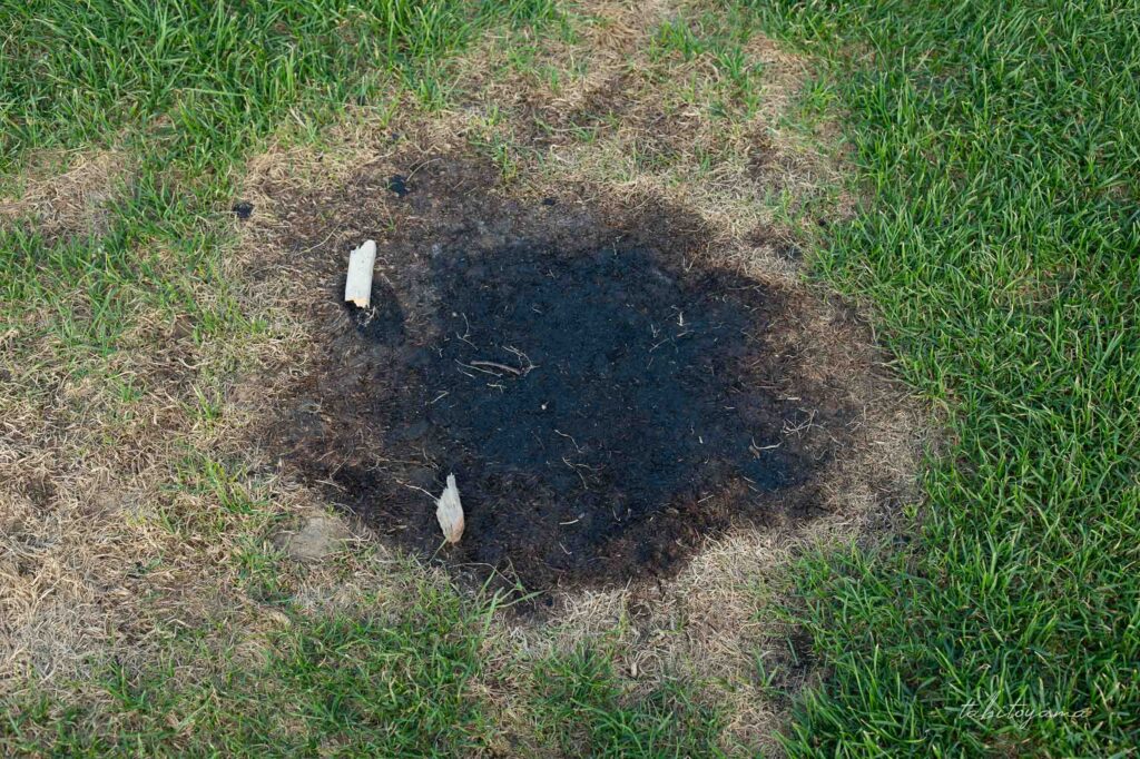 焚き火で焼けた芝生