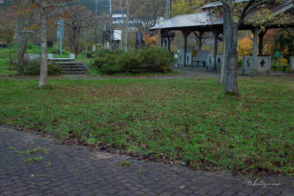 南茅部河川公園キャンプ場のフリーサイト