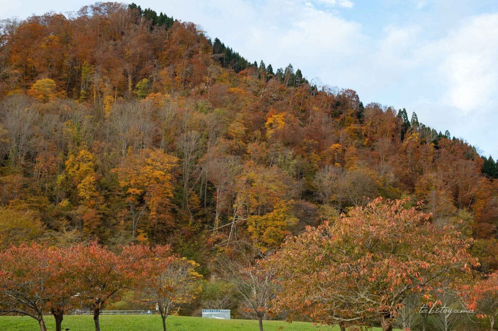 湯の沢水辺公園の周辺の山は赤く紅葉が色づいている。