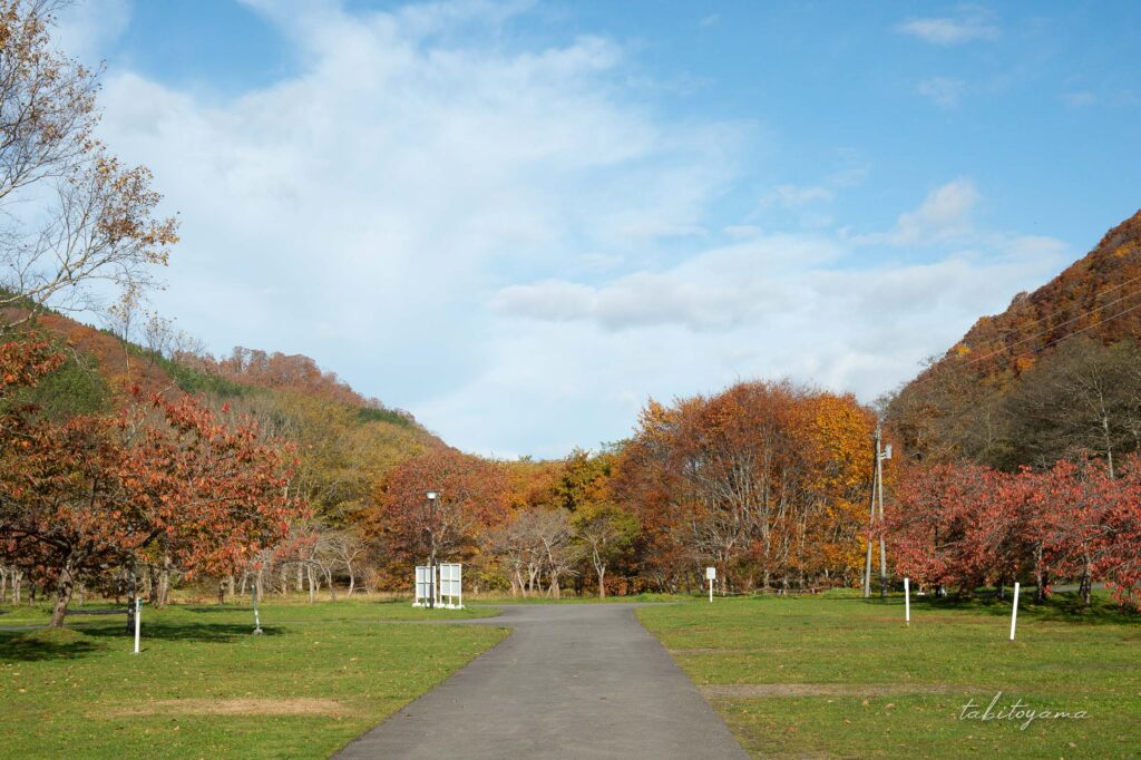 湯の沢水辺公園のオートサイト。通路沿いに駐車スペースが並ぶ。
