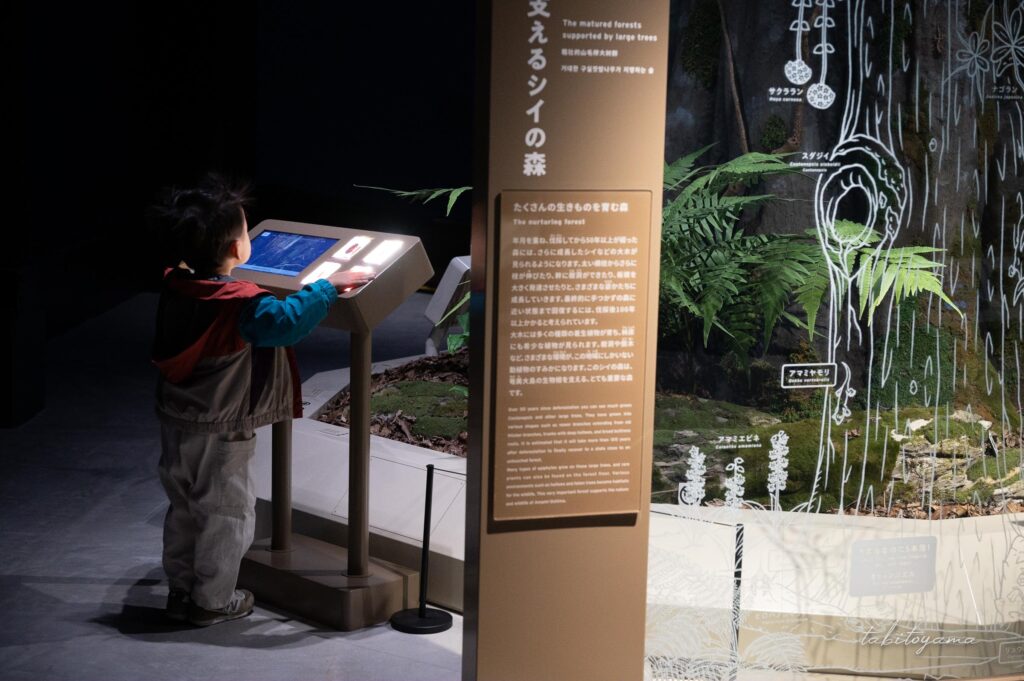 奄美大島の世界遺産センターで