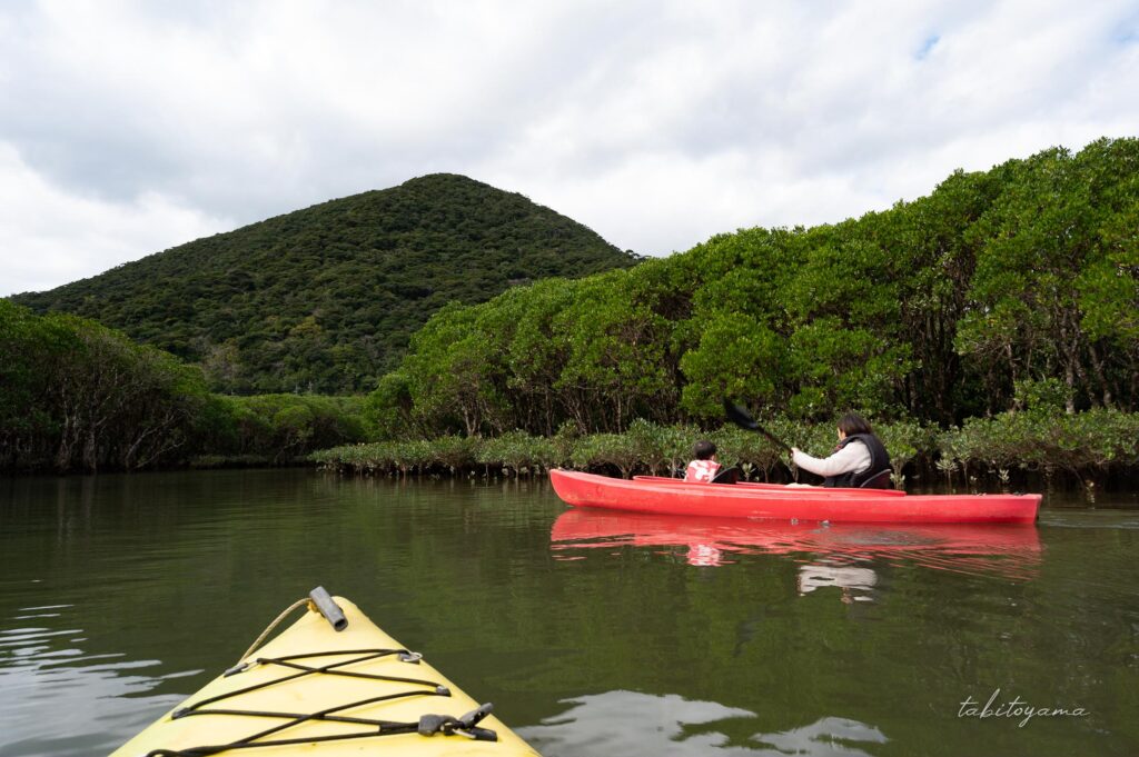 マングローブを目指し進むカヤック