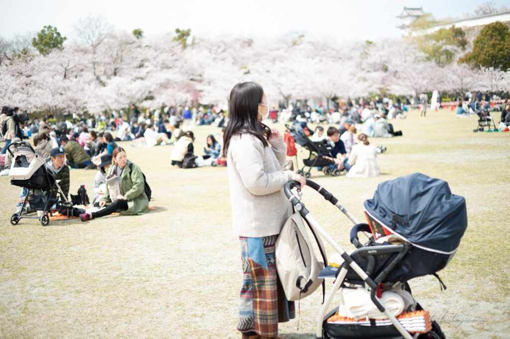 姫路城の桜まつりでベビーカーを押す妻