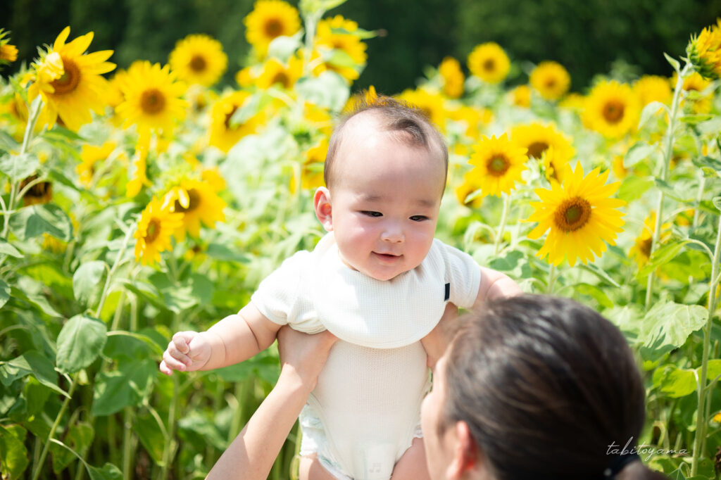 ひまわり畑を背景に妻に抱き抱えられて笑顔の息子