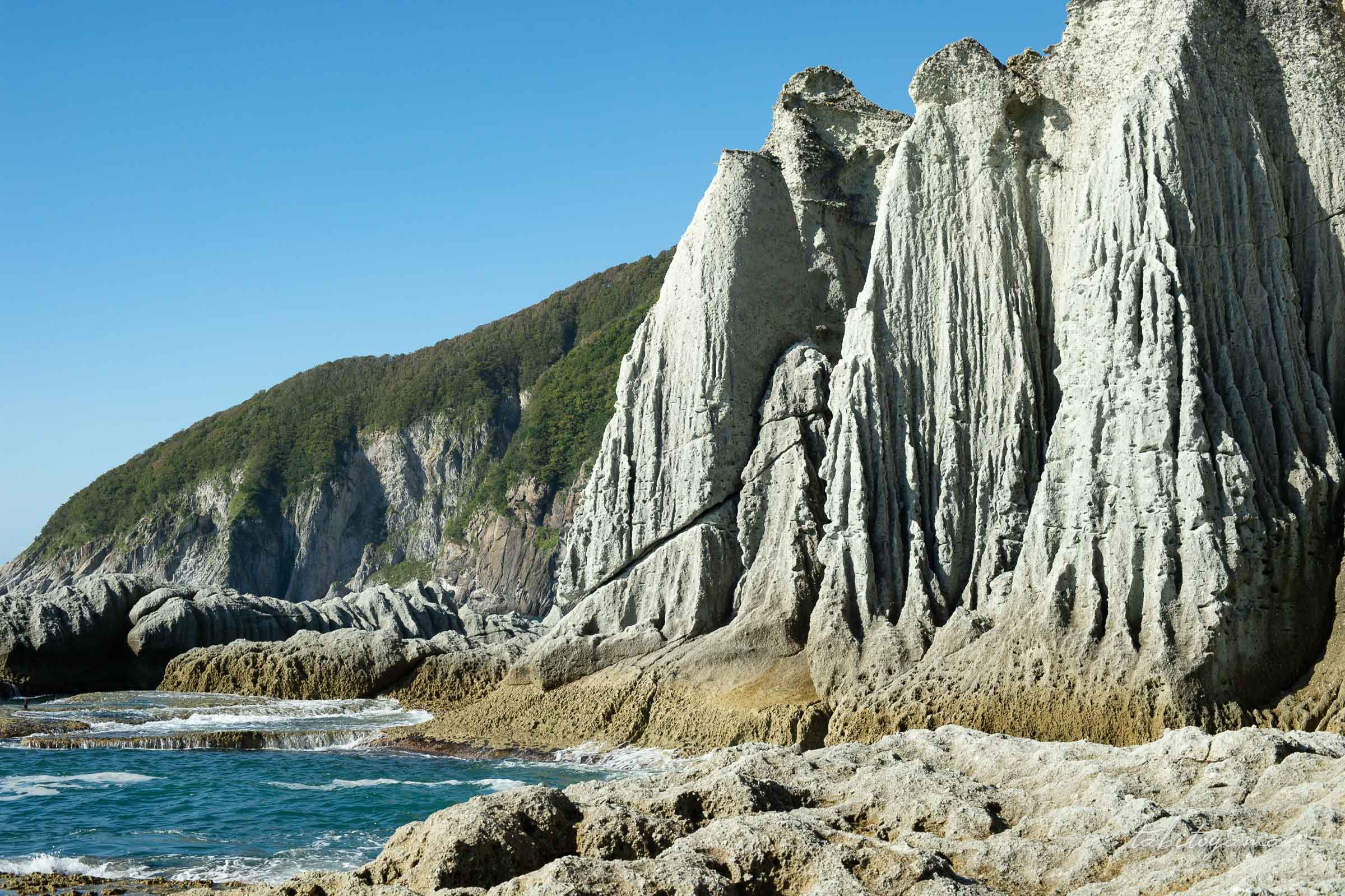 仏ヶ浦の波打ち際に立ち並ぶ奇岩