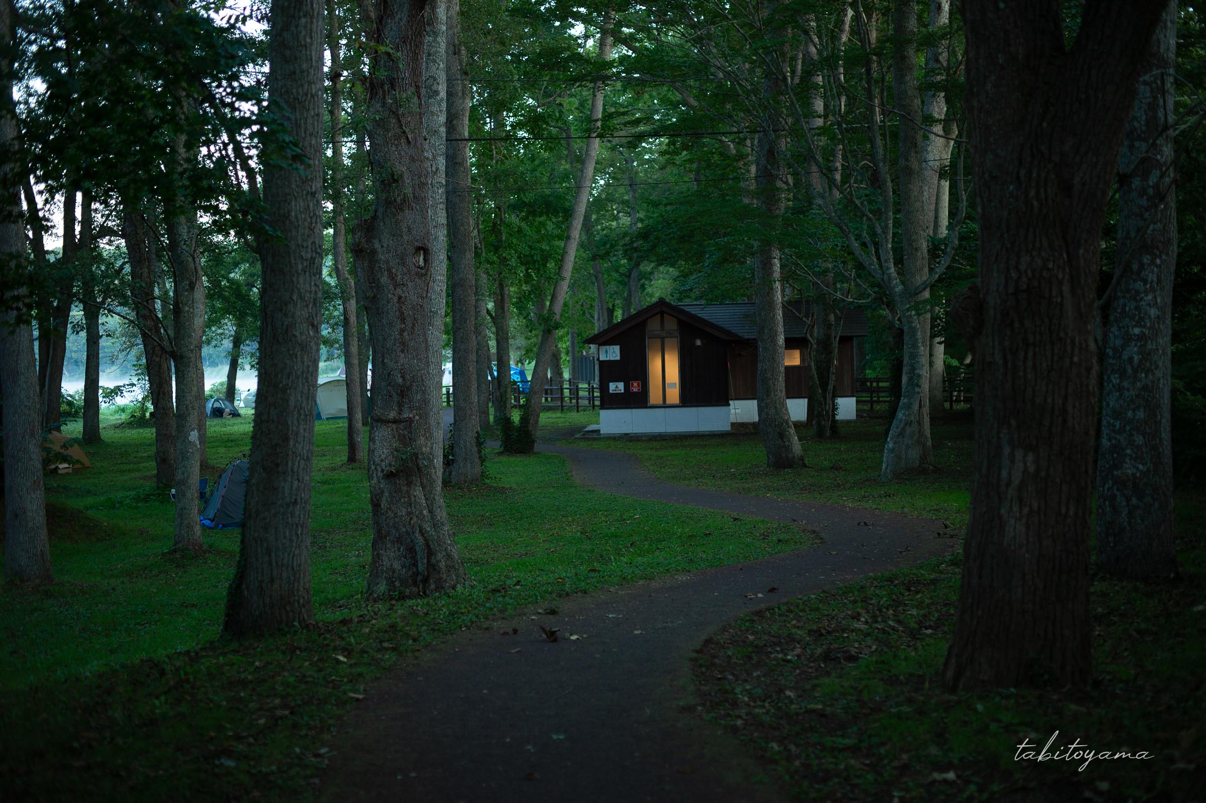 東大沼キャンプ場のサイトへと続く道