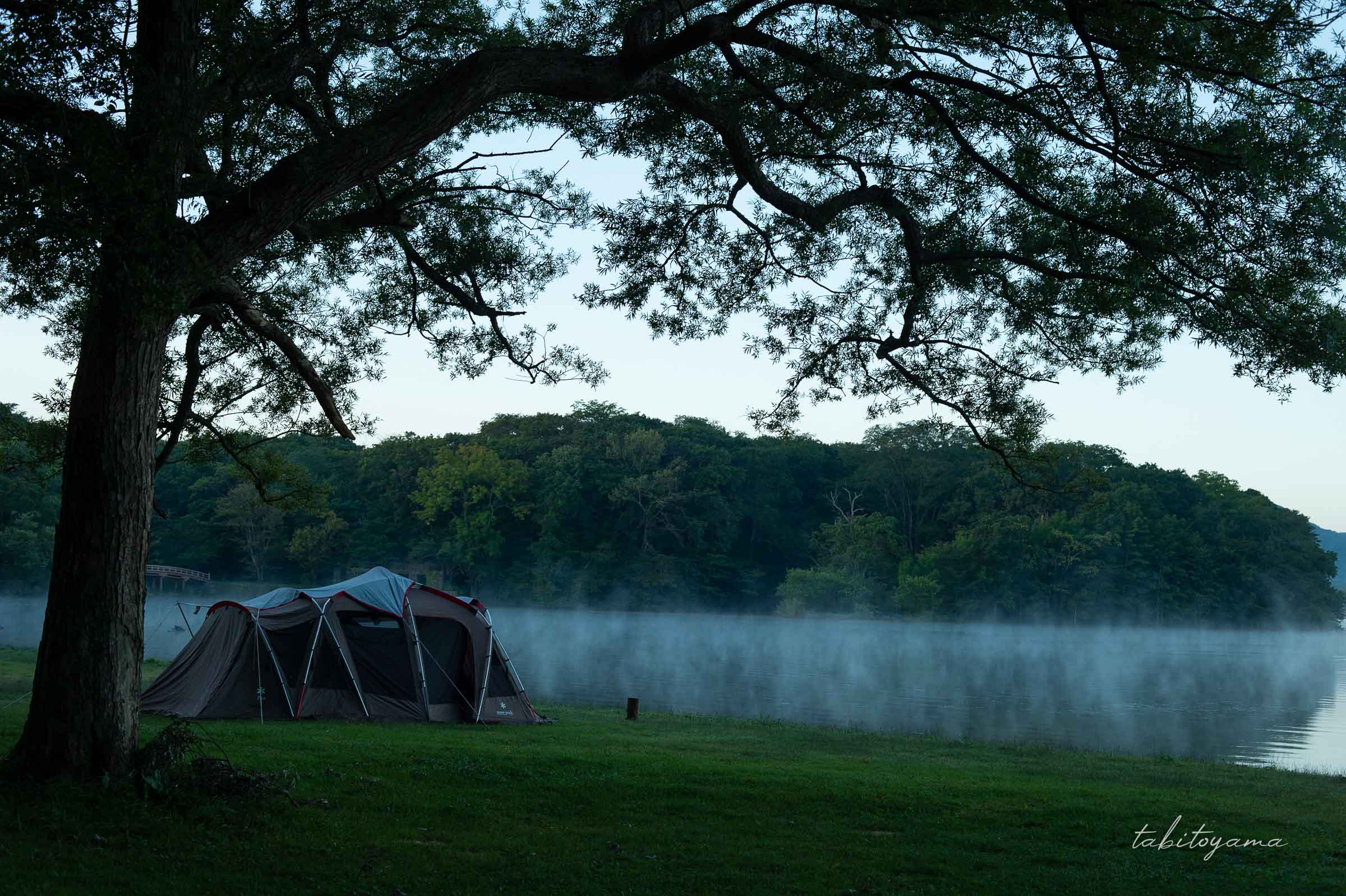 木陰に設営されたテントと朝靄が漂う東大沼湖畔