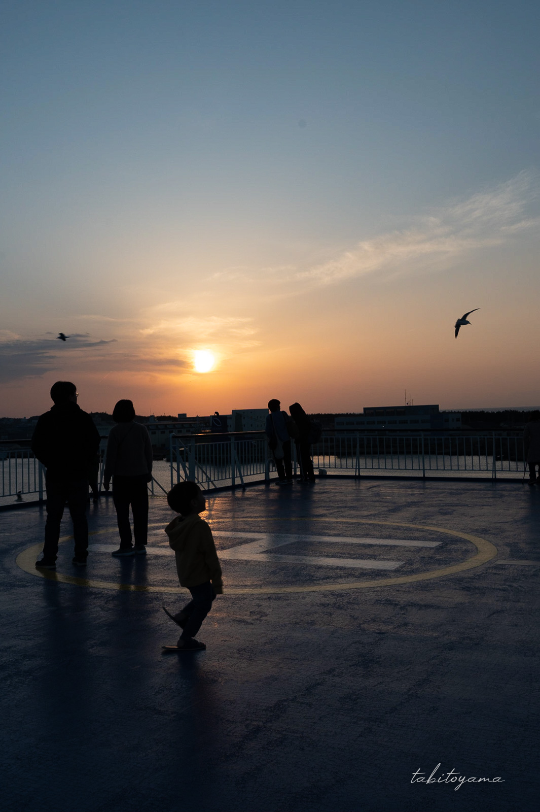 夕暮れのフェリーデッキで空を飛ぶウミネコを眺める息子のシルエット