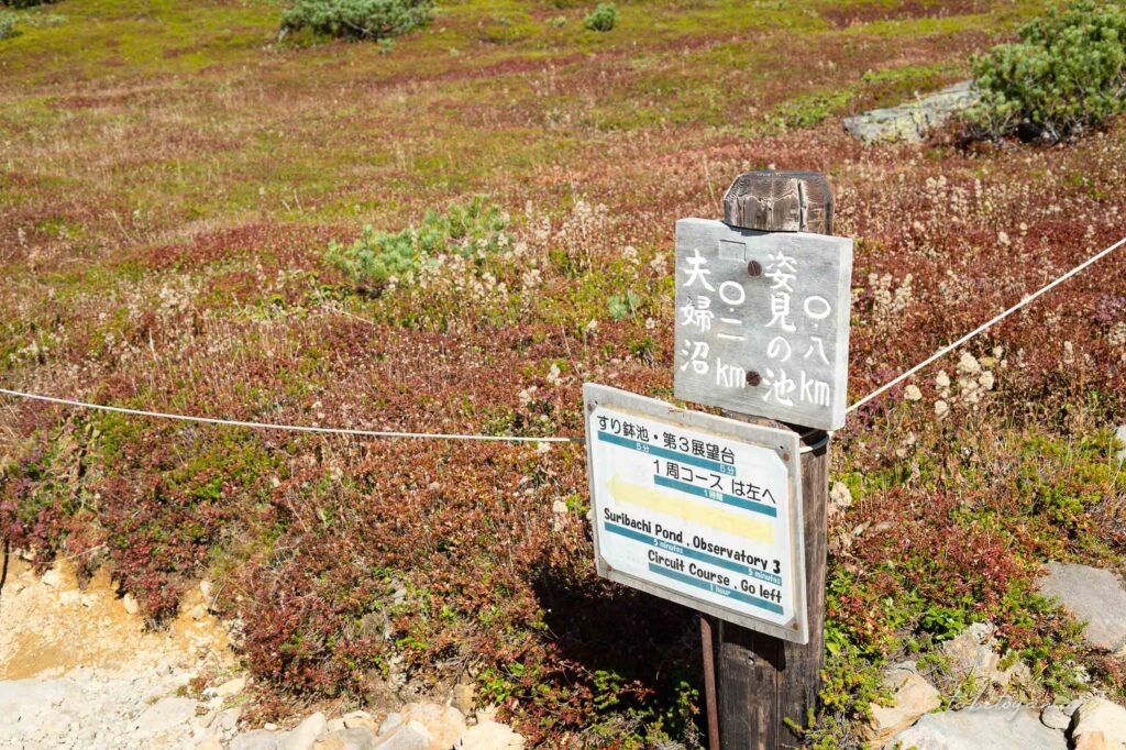 姿見の池周辺のコースを示す看板