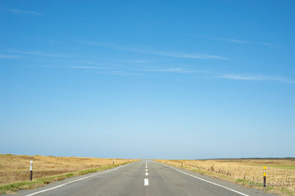 遮蔽物がなく地平線がはっきりと見える青空のオロロンライン