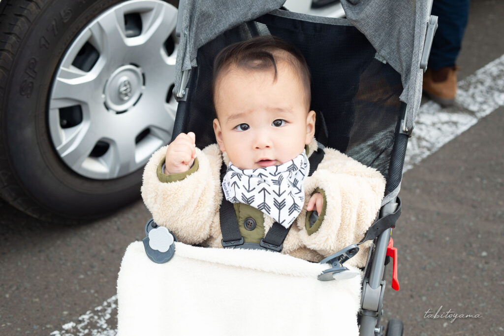 ベビーカーに乗る息子