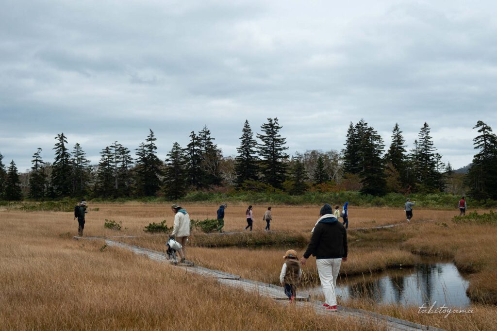 神仙沼の遊歩道を歩く観光客たち