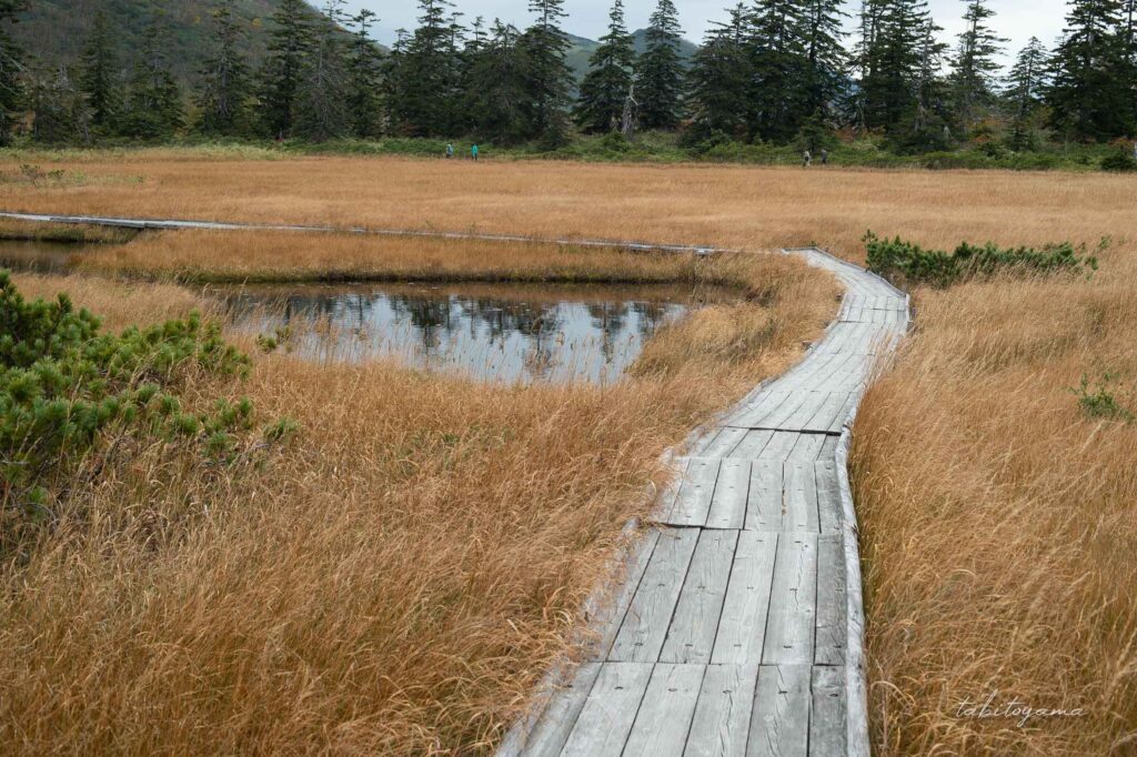 神仙沼の遊歩道