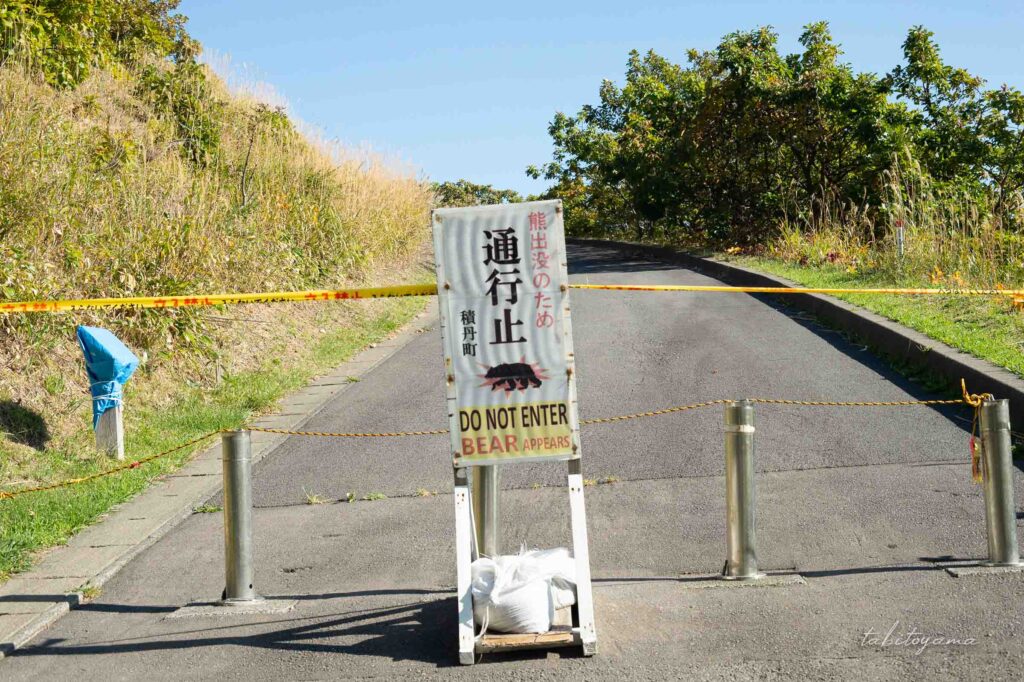 熊出没による通行止めを示す看板