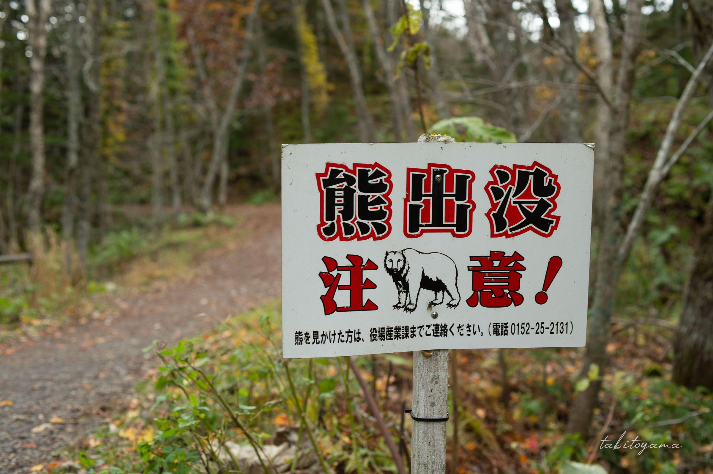 神の小池周辺の熊出没注意の看板