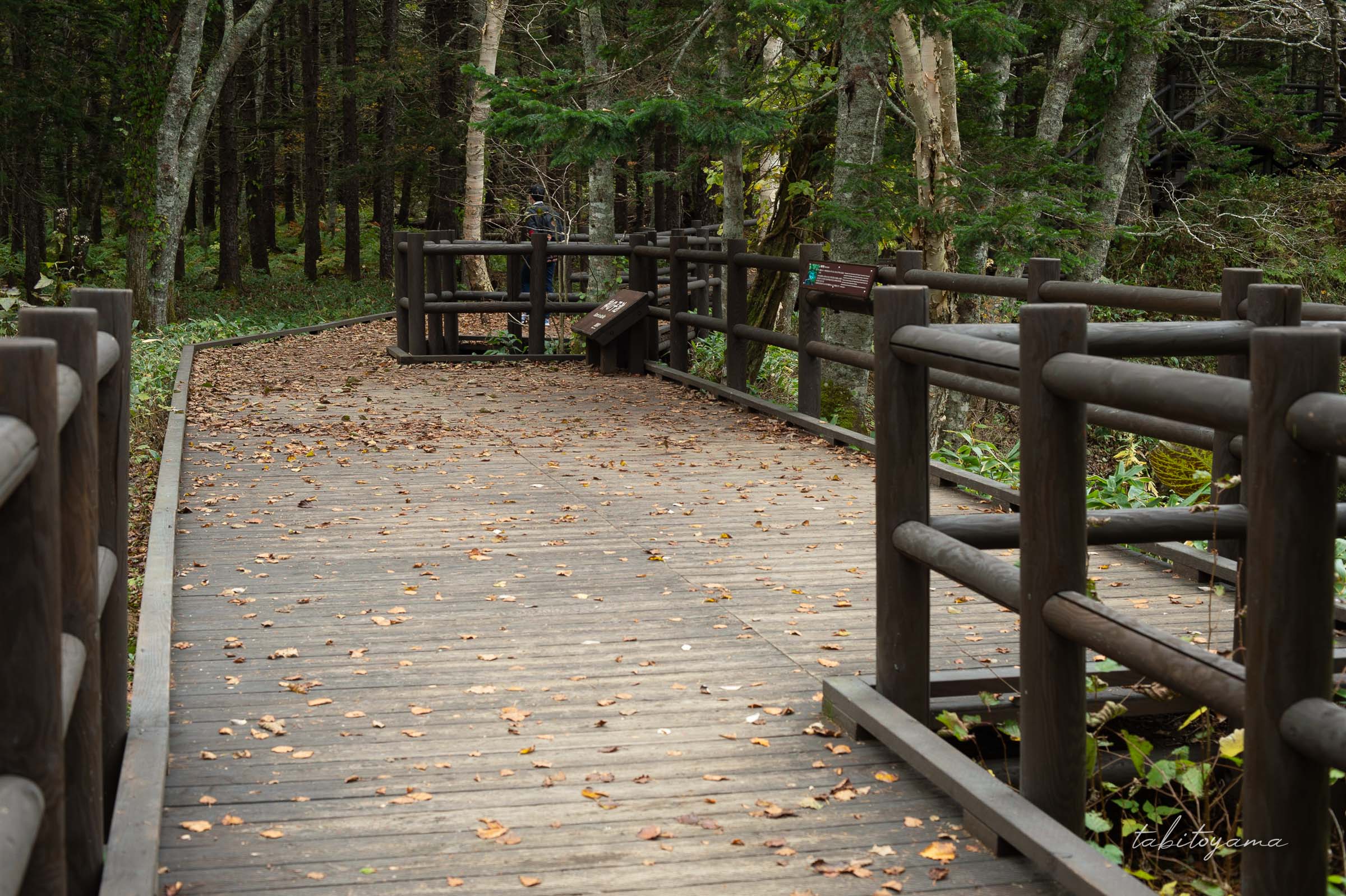 神の小池の展望デッキ