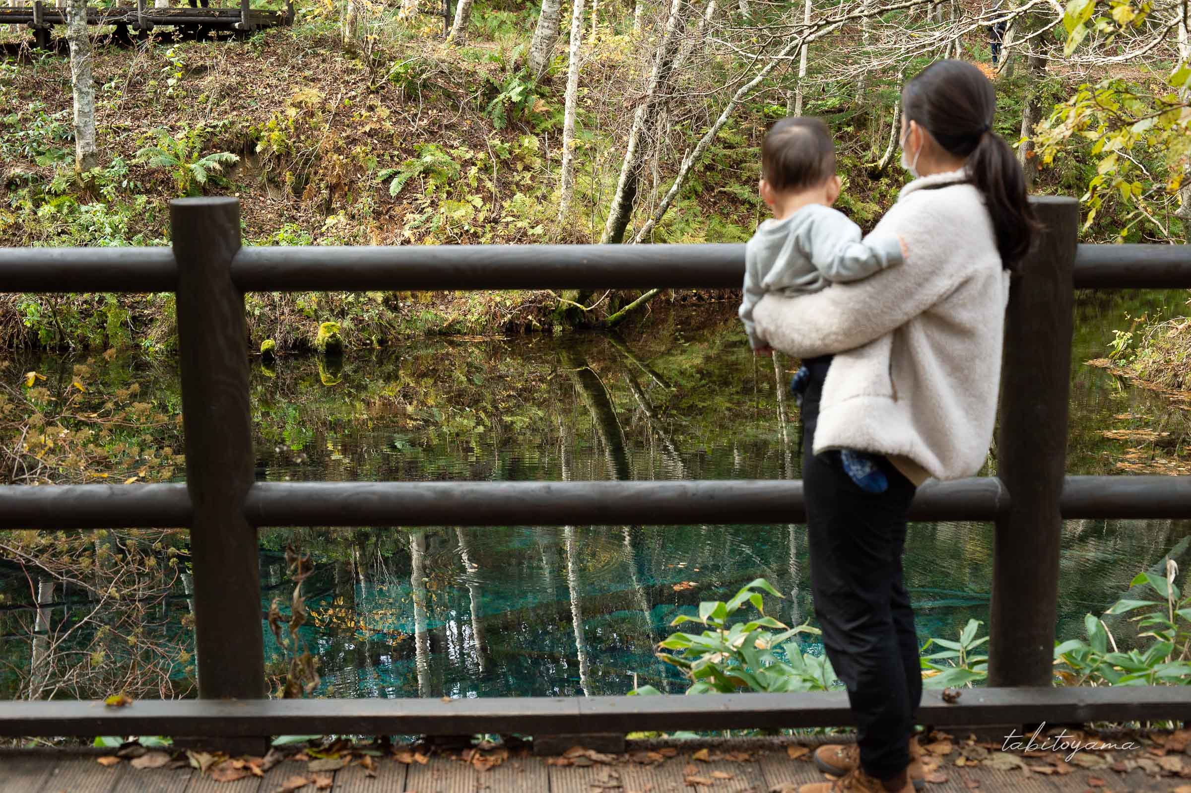 神の小池の展望台から柵越しで水面を眺める後ろ姿の妻と息子