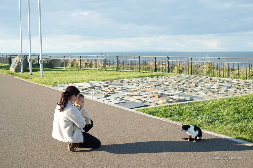 望郷の岬公園の希望の道前で野良猫と向き合う妻と息子