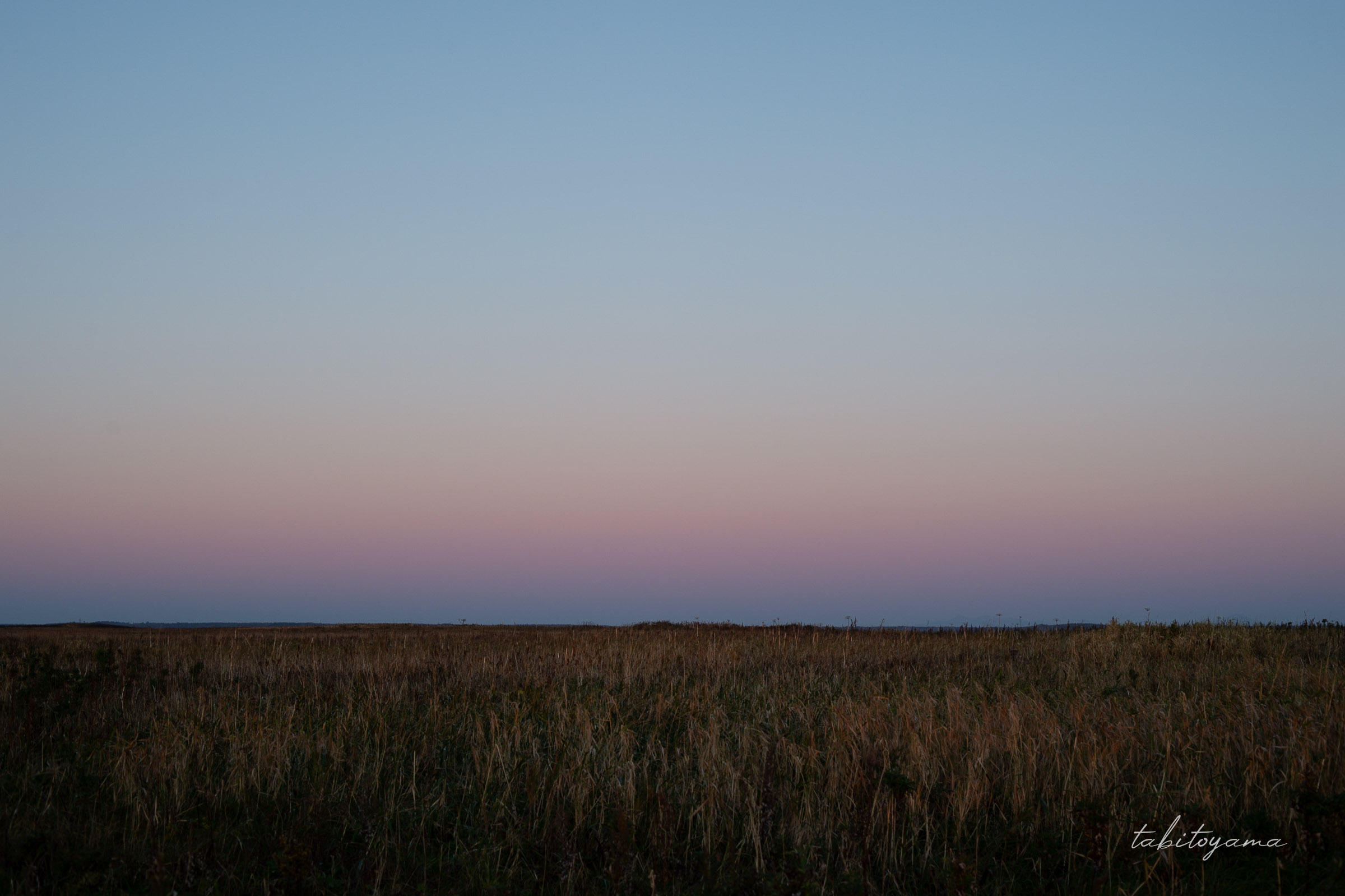 マジックアワーに染まる空と草原の先に地平線が広がる