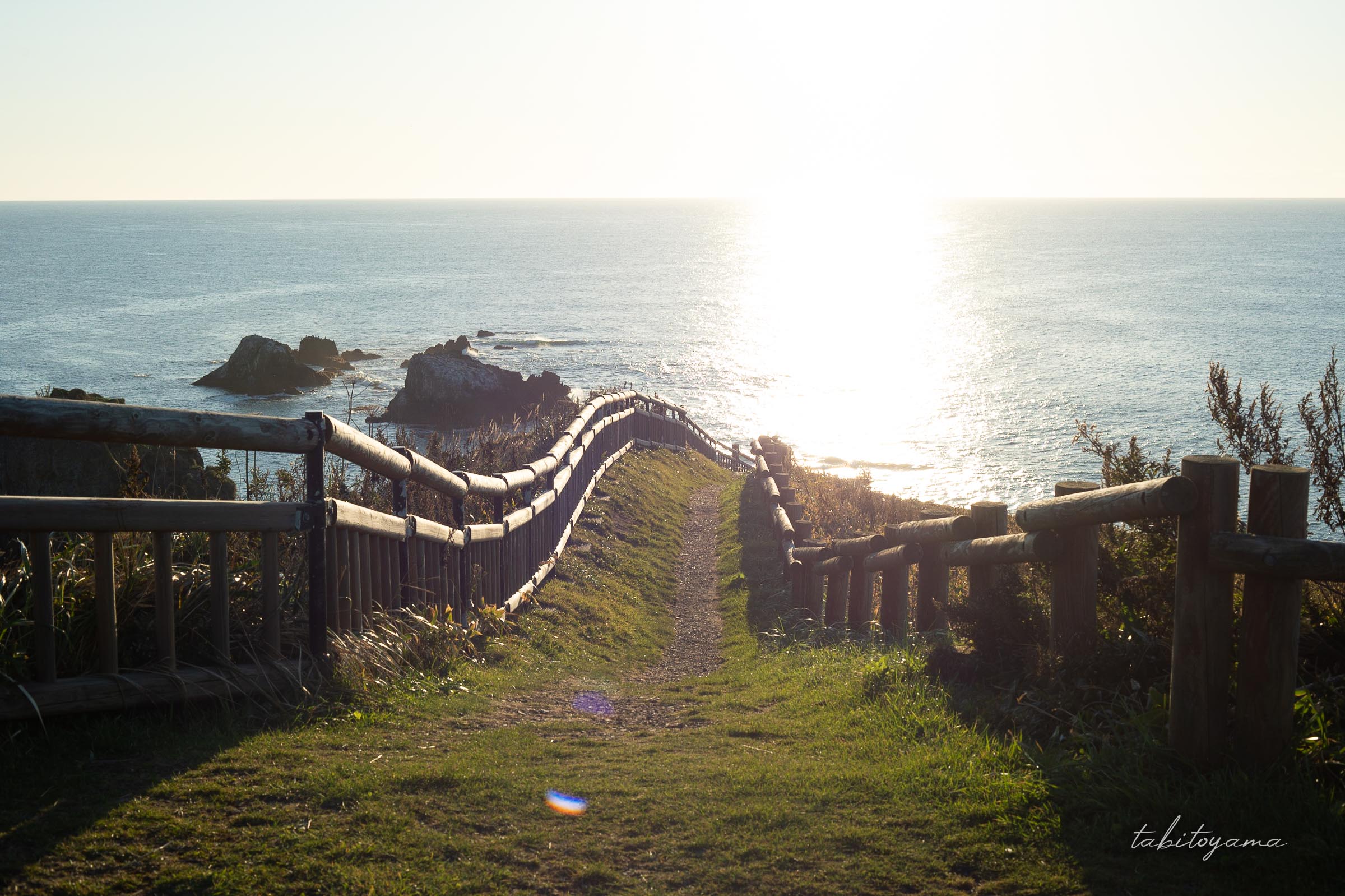 霧多布岬の遊歩道が朝日に照らされて輝いている