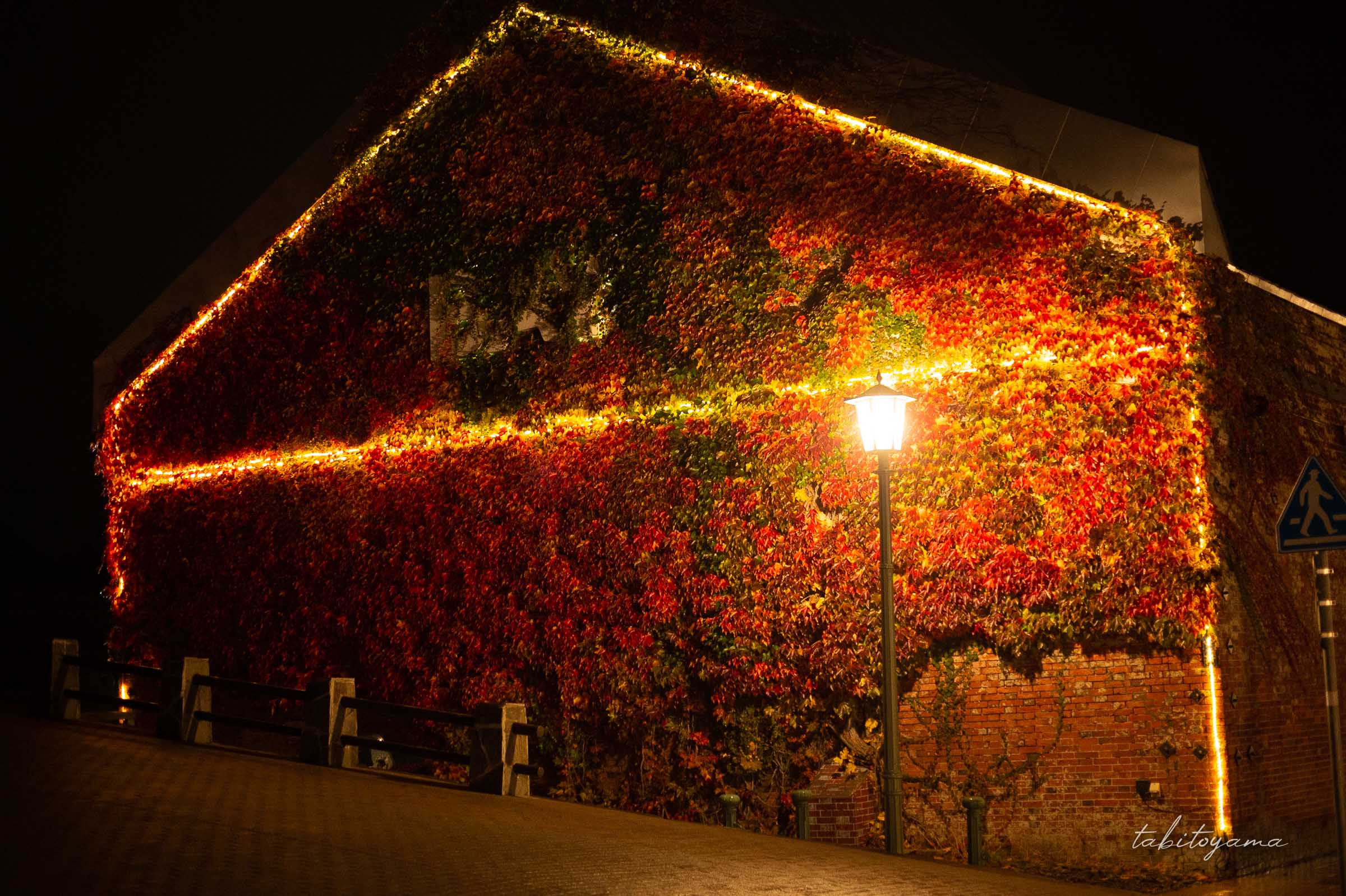 夜のBAYはこだての外観、赤と緑の草に覆われた壁面が街灯に照らされる