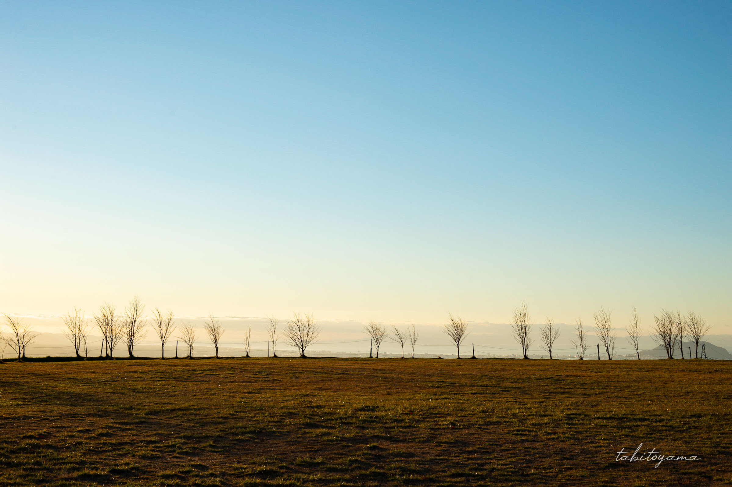 青空が広がるきじひき高原キャンプ場の開放的なサイトからの眺め