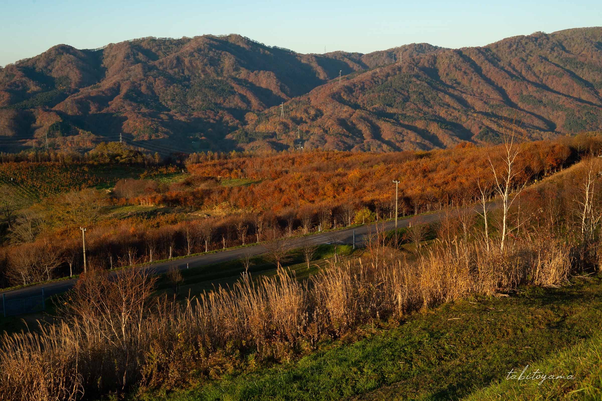 きじひき高原キャンプ場から紅葉した山々の眺め