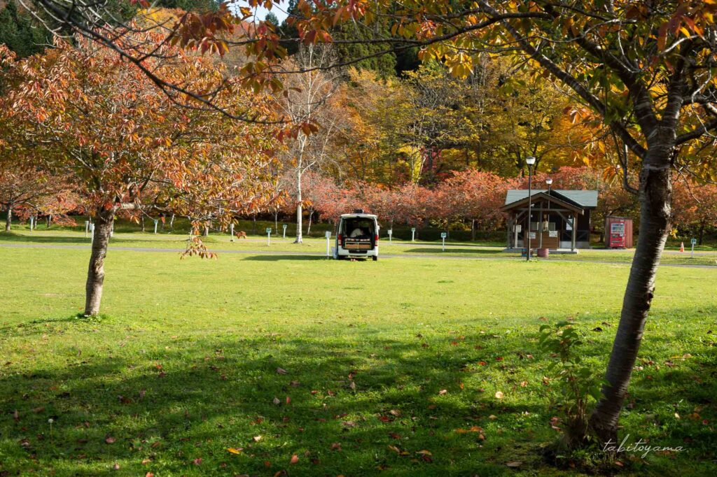 中央には湯の沢水辺公園の奥に駐車するハイエース、手間には木々の木陰と芝生が広がる