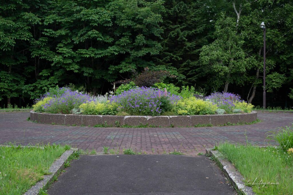 柏木地区レクリエーション施設の修景広場の花壇。