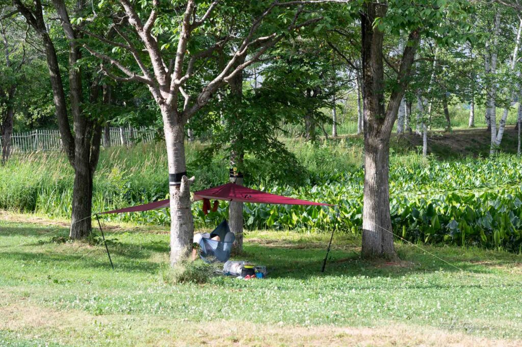 北村中央公園ふれあい広場キャンプ場の池のそばに設営されたタープ。下にはハンモックでくつろぐ男性の姿。