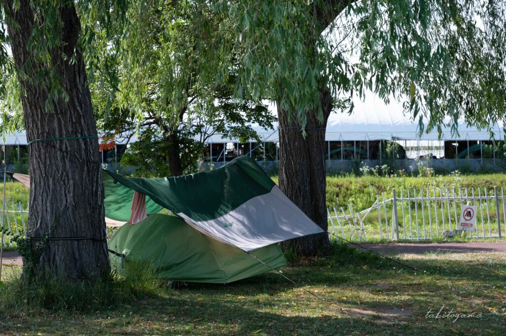 北村中央公園ふれあい広場キャンプ場の木々の間に張られたタープ。下にはテントが設営されている。