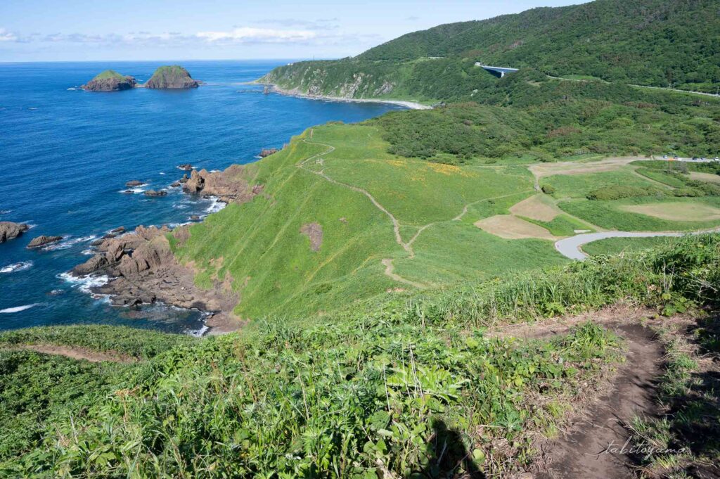 大野亀頂上付近から登山道方面を見下ろす、眼下には草原と青い海が広がる