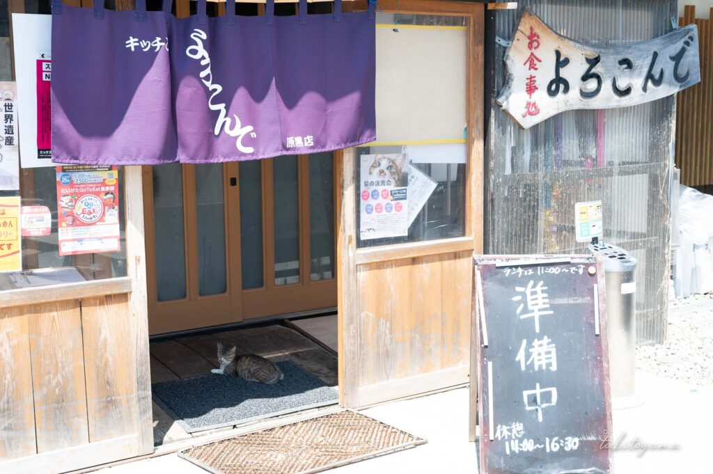 キッチンよろこんでの外観、入り口には準備中の看板と寝そべる猫の姿