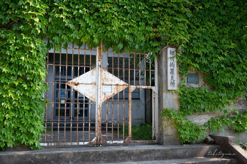 蔦に覆われた相川拘置支所の外観