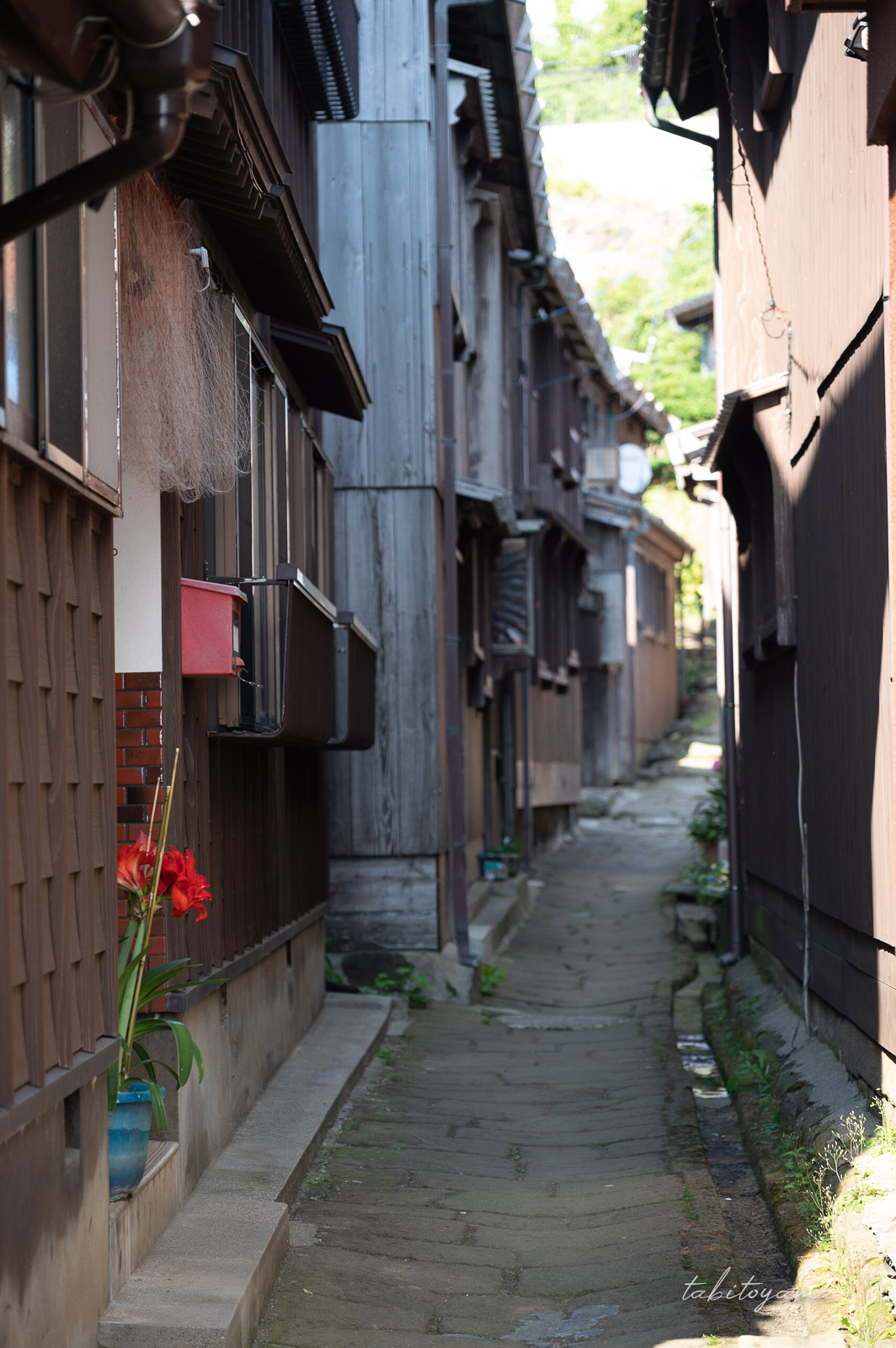 宿根木の民家の玄関先にある花壇と郵便受け