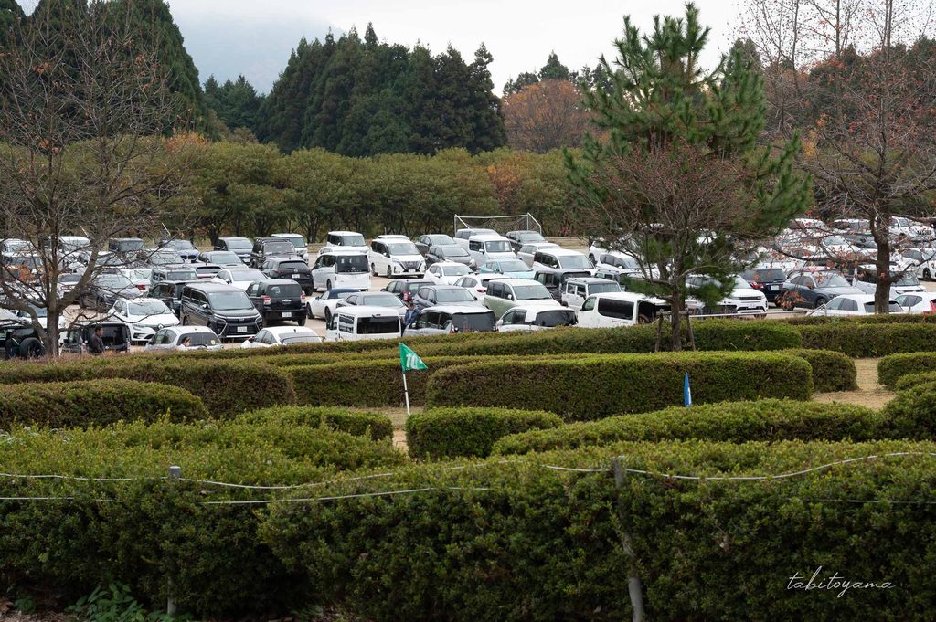 マキノピックランド臨時駐車場には多くの車が停まる