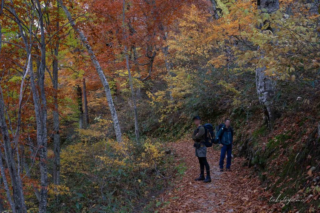 紅葉に色づく登山道でこちらを振り返る登山者
