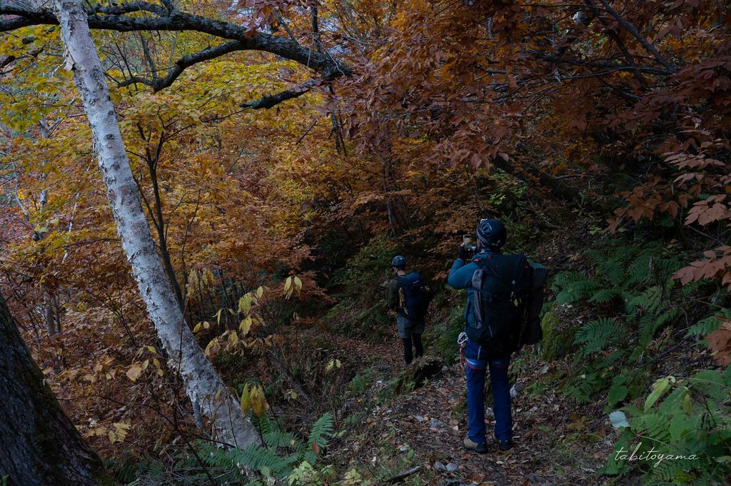紅葉に色づく道を歩く登山者
