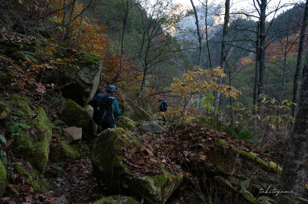 苔むした岩肌と横目に沢沿いの登山道を進む