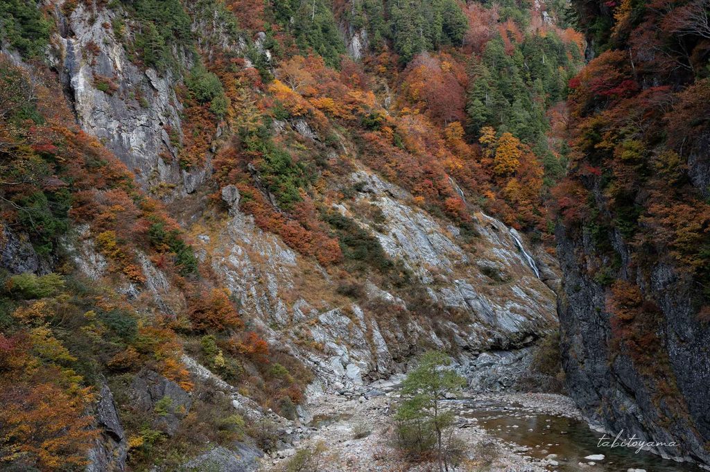 岩肌にはびっしりと赤い紅葉した木々が生えいている