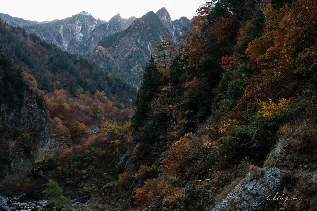 紅葉した木々の奥には険しい稜線