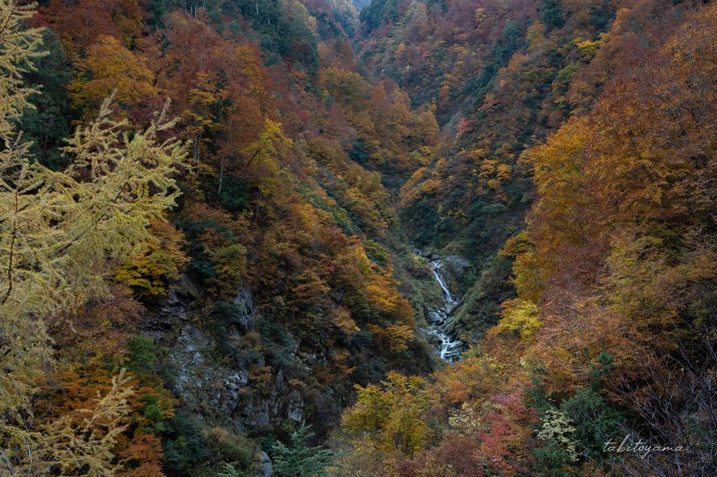 紅葉した木々の奥にある滝