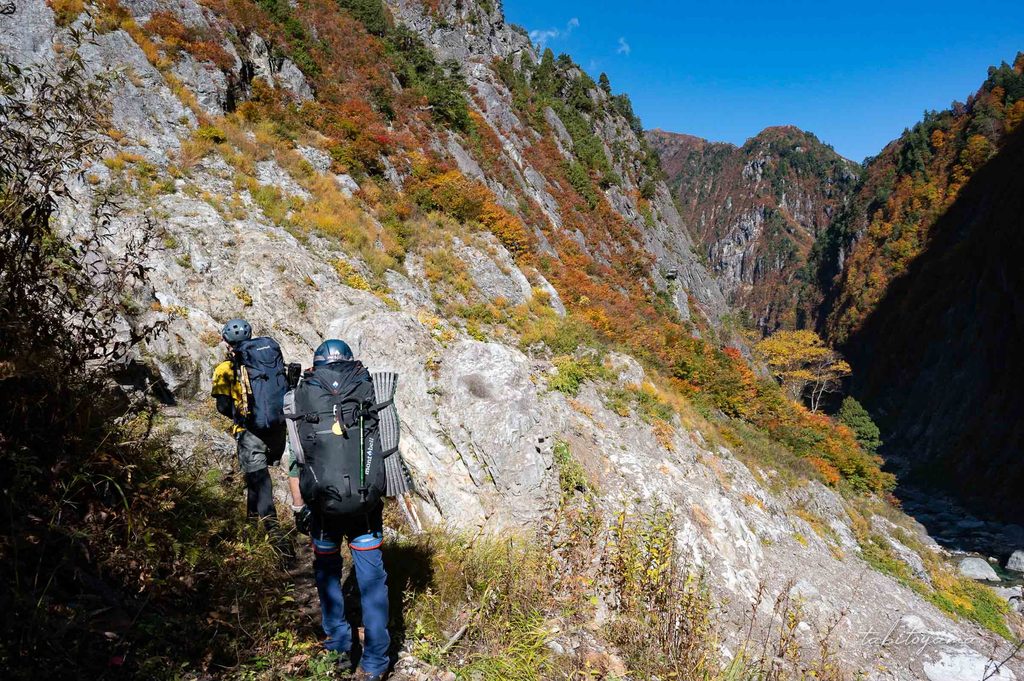 紅葉が色付く黒部峡谷のV字谷の登山道を歩く登山者