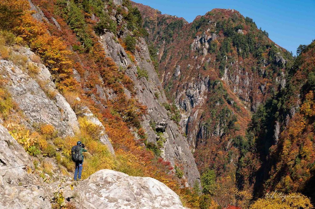 白竜峡の岩場から紅葉に彩られたV字谷の黒部峡谷を眺める登山者