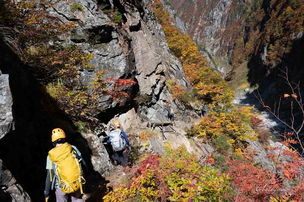 岸壁から紅葉した木々が見える登山道