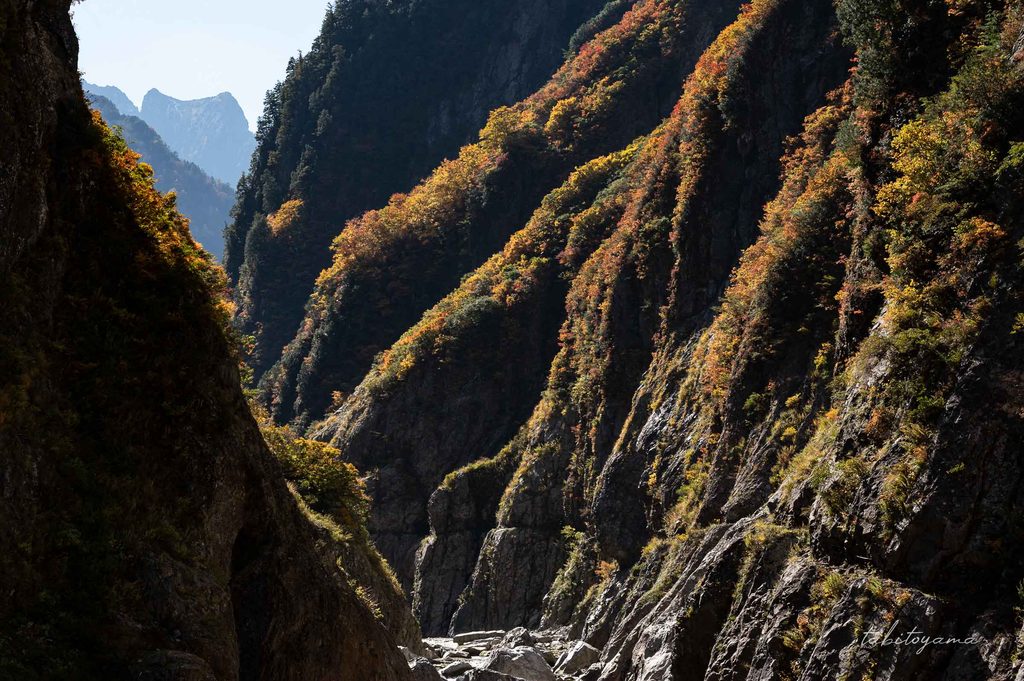 水平に登る登山道の上部には陰影のついた岩肌と紅葉の木々