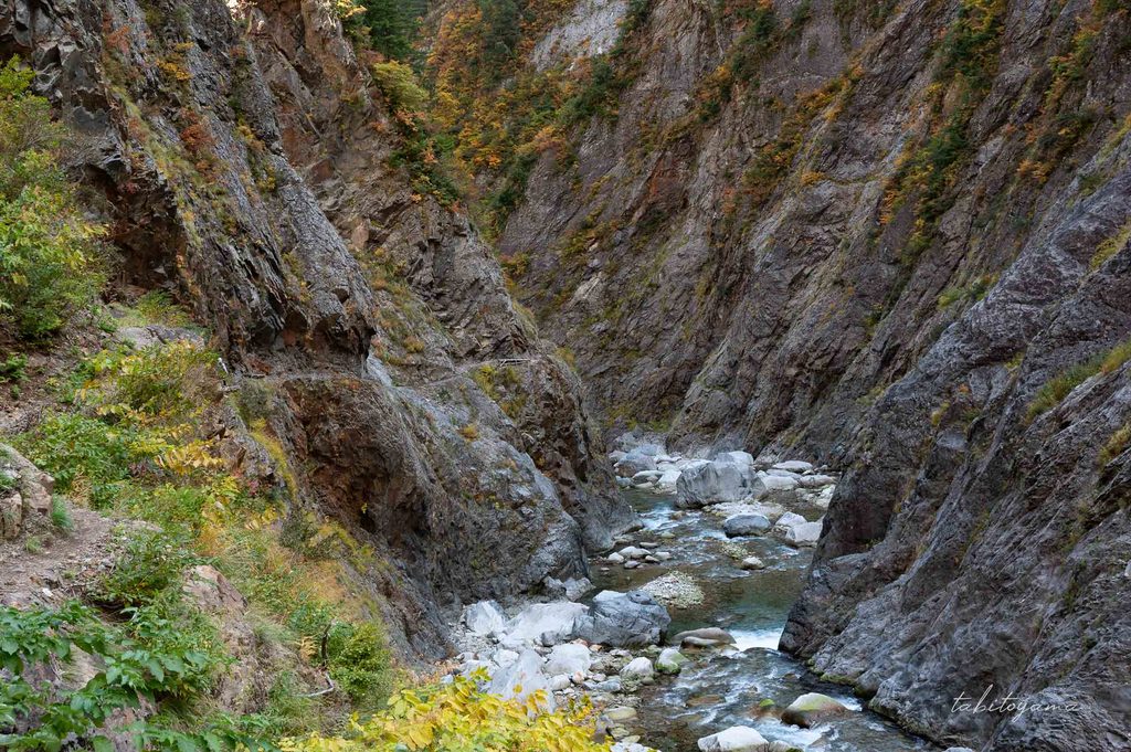 白い花崗岩の岩壁が広がる白竜峡